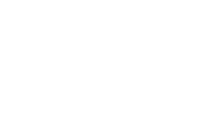 Elemis Logo