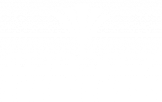 St Tropez Logo